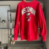 【USED】Champion | チャンピオン　Reverse Weave - WISCONSIN - 画像 (2)