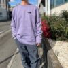 【Unisex】patagonia | パタゴニア　’73 Skyline Uprisal Crew Sweatshirt - CONCRETE PURPLE - 画像 (2)