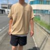 【Men's】patagonia | パタゴニア　Men's Take a Stand Responsibili-Tee - PHEASANT TAIL : TALON GOLD - 画像 (3)