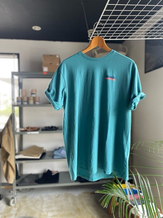 【Men's】patagonia | パタゴニア　Men's Fitz Roy Wild Responsibili-Tee - BRLAY BLUE [37702]
