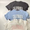 【Ladies】FLAVOR TEE | フレーバーティー　Print Big Tee〔CALIFORNIA〕- WHITE JASMINE [23103B05WJM] - 画像 (10)