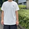 【Men's】THE NORTH FACE | ザ・ノースフェイス　S/S Run Mesh Half Dome Tee - GS グレイッシュホワイト [NT32471] - 画像 (3)