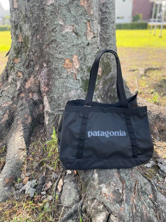 【Unisex】patagonia | パタゴニア　Black Hole Tote 25L - BLACK [49032]