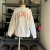 【USED】Champion　Reverse weave "ILLION" - 画像 (2)