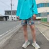 【Men's】patagonia | パタゴニア　Baggies Shorts 〔5inc〕- SWALLOWTAIL GEO : STILL BLUE [57022] - 画像 (6)