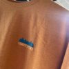 【Men's】patagonia | パタゴニア　Men's Fitz Roy Wild Responsibili-Tee - DRIED MANGO [37702] - 画像 (5)