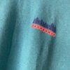 【Men's】patagonia | パタゴニア　Men's Fitz Roy Wild Responsibili-Tee - BRLAY BLUE [37702] - 画像 (5)