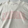 【Ladies】FLAVOR TEE | フレーバーティー　Print Big Tee〔CALIFORNIA〕- WHITE JASMINE [23103B05WJM] - 画像 (6)