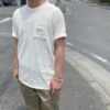 【Men's】patagonia | パタゴニア　Men's Water People Organic Pocket T-Shirt - WATER PEOPLE BANNER : UNDYED NATURAL [37734] - 画像 (3)