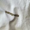 【Men's】patagonia | パタゴニア　Men's Take a Stand Responsibili-Tee - PHEASANT TAIL : WHITE - 画像 (7)