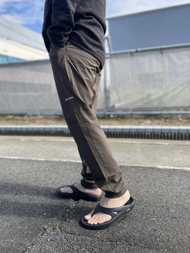 PEACETREE | ピースツリー