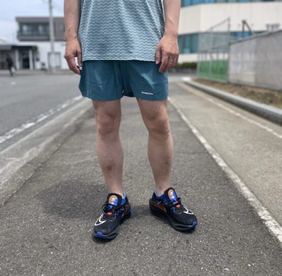 "20%OFF"【Men's】patagonia | パタゴニア　M's Strider Pro Shorts [5inc] - WETLAND BLUE [24634]