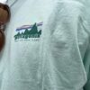 【Men's】patagonia | パタゴニア　Men's Unity Fitz responsibili-Tee - RINSED GREEN [37534] - 画像 (5)