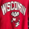 【USED】Champion | チャンピオン　Reverse Weave - WISCONSIN - 画像 (3)