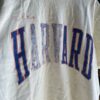 【Unisex】free rage | フリーレイジ　Fade Out Tee "HARVARD" - WHITE - 画像 (10)