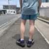 "20%OFF"【Men's】patagonia | パタゴニア　M's Strider Pro Shorts [5inc] - WETLAND BLUE [24634] - 画像 (4)