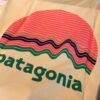 【Ladies】patagonia | パタゴニア　Kid's Cap Silkweigt T-Shirt - RIDGE RISE MOONLIGHT : MILLED YELLOW [62380] - 画像 (13)