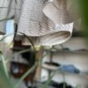【Men's】*A VONTADE | アボンタージ　Gardener Shirts Jacket - NATURAL PIN [VTD-0372-SJ] - 画像 (6)