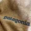 【Men's】patagonia | パタゴニア　Men's Take a Stand Responsibili-Tee - PHEASANT TAIL : TALON GOLD - 画像 (7)