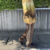 NEEDLES | ニードルズ　Mohair Cardigan - ZIGZAG [JQ274] - 画像 (5)