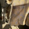 【Men's】NEEDLES | ニードルズ　Cabana Shirt [Poly india Iq.] - GRAY/BEIGE - 画像 (11)