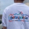 【Men's】patagonia | パタゴニア　Men's Unity Fitz responsibili-Tee - WHITE [37768] - 画像 (2)
