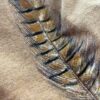 【Men's】patagonia | パタゴニア　Men's Take a Stand Responsibili-Tee - PHEASANT TAIL : TALON GOLD - 画像 (9)