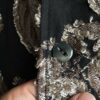 【Unisex】NEEDLES | ニードルズ　Cabana Shirt 《Flower Cut Jq.》ｰ BLACK [PU224] - 画像 (10)