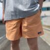 【Men's】patagonia | パタゴニア　Baggies Shorts 〔5inc〕- HEIRLOOM PEACH [57022] - 画像 (3)
