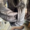 【Ladies】patagonia | パタゴニア　Kid's Reversible Ready Freddy Hoody - INK BLACK [68095] - 画像 (18)