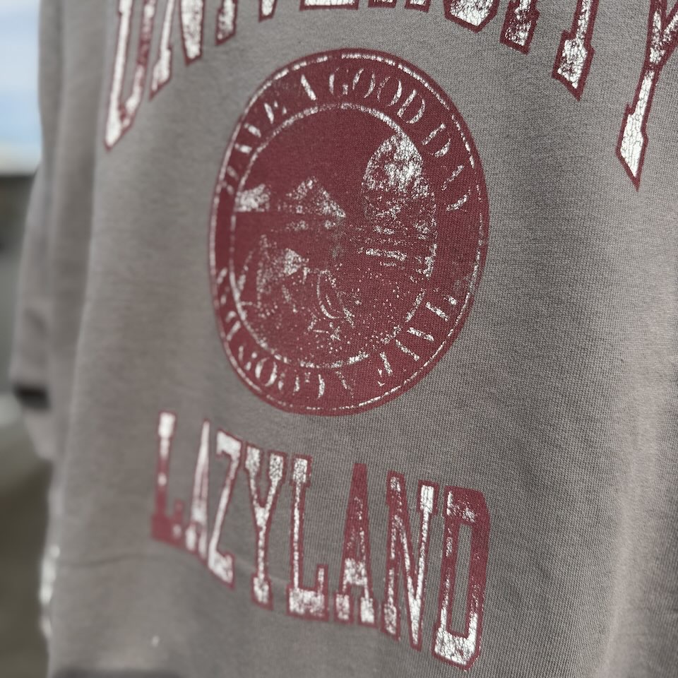 【Unisex】free rage | フリーレイジ "LAZYLAND" ハンドクラフト裏毛クルースウェット - USED GREY - 画像 (7)